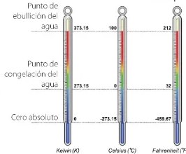 Figura 2 de Ciencias Naturales · 6 EGB · 2025