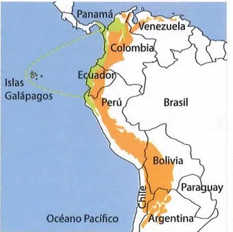 Figura 3 de Ciencias Naturales · 9 EGB · 2024