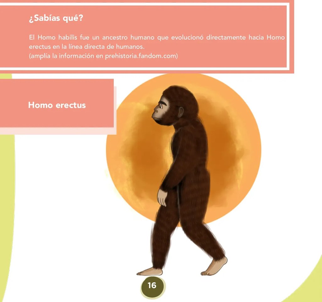 Figura 2 de Etnoeducacion · 8 EGB · 2024