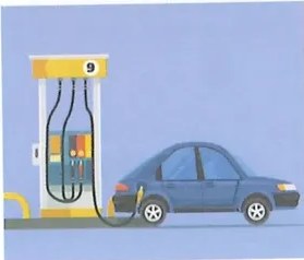 Figura 4 de Ciencias Naturales · 8 EGB · 2025