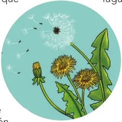 Mapa ilustrativo con el Océano Atlántico, América del Sur (con Ecuador resaltado en una lupa) y el continente africano, sugiriendo la travesía de la diáspora.