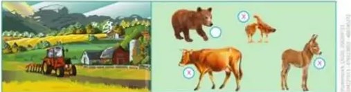 Diagrama con flechas mostrando una cadena alimenticia (planta, oruga, ave, águila...).