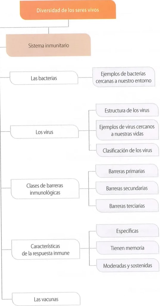 Figura 1 de Ciencias Naturales · 8 EGB · 2025