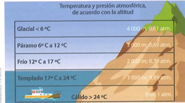 Figura 2 de Ciencias Naturales · 9 EGB · 2024