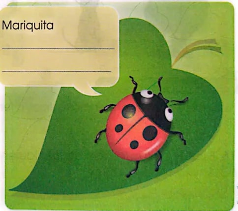 Figura 2 de Lengua Y Literatura · 3 EGB · 2025