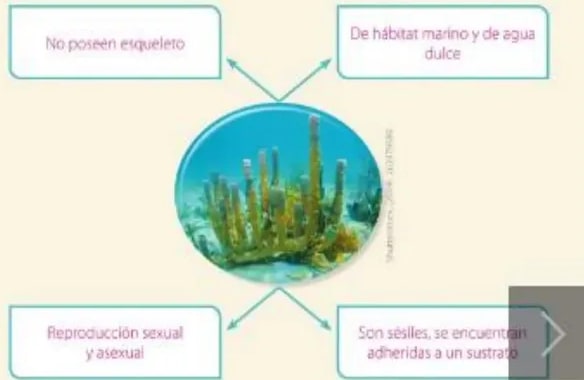 Figura 9 de Ciencias Naturales · 5 EGB · 2024