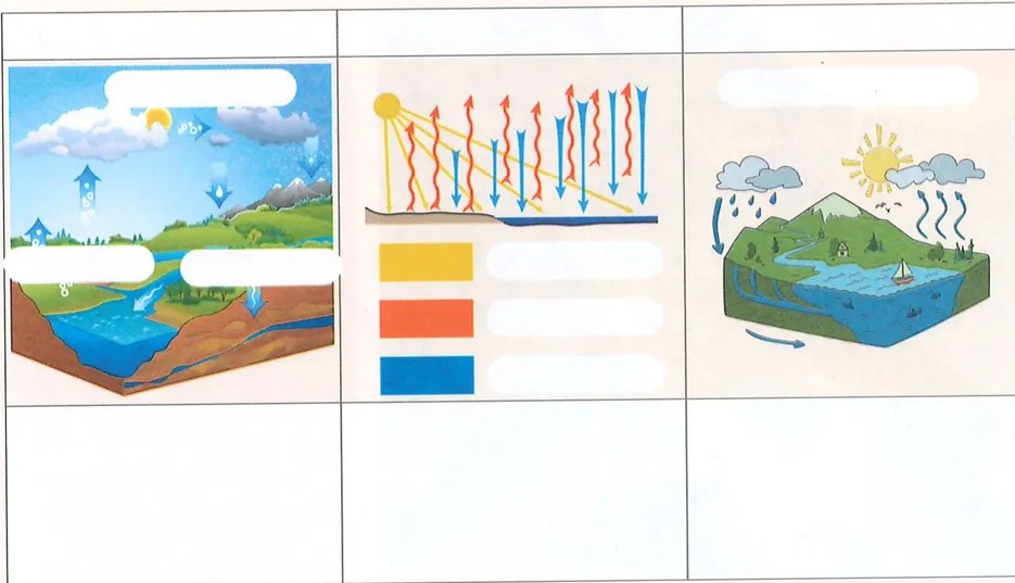 Figura 3 de Ciencias Naturales · 7 EGB · 2024