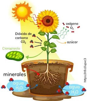 Figura 4 de Quimica · 2ro BGU · 2024