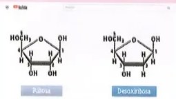 Figura 2 de Ciencias Naturales · 10 EGB · 2024