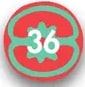 Figura 3 de Etnoeducacion · 5 EGB · 2024