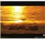 Playa de Mompiche en Esmeraldas (Costa externa).