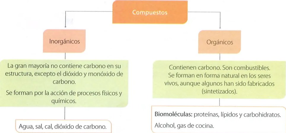 Figura 4 de Ciencias Naturales · 7 EGB · 2024