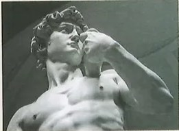Figura 5 de Ciencias Naturales · 10 EGB · 2024