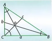 Figura 6 de Matematica · 8 EGB · 2025