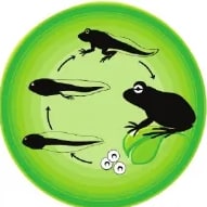 Figura 1 de Ciencias Naturales · 6 EGB · 2025