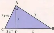 Figura 5 de Matematica · 8 EGB · 2025