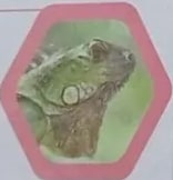 Figura 4 de Ciencias Naturales · 3 EGB · 2024
