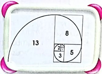 Figura 5 de Matematica · 4 EGB · 2024