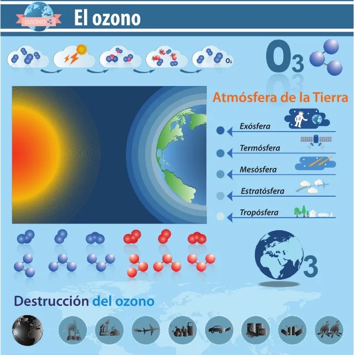 Figura 2 de Ciencias Naturales · 6 EGB · 2025