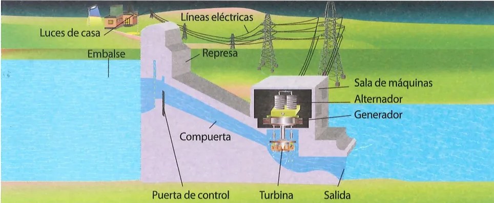 Figura 2 de Ciencias Naturales · 7 EGB · 2024