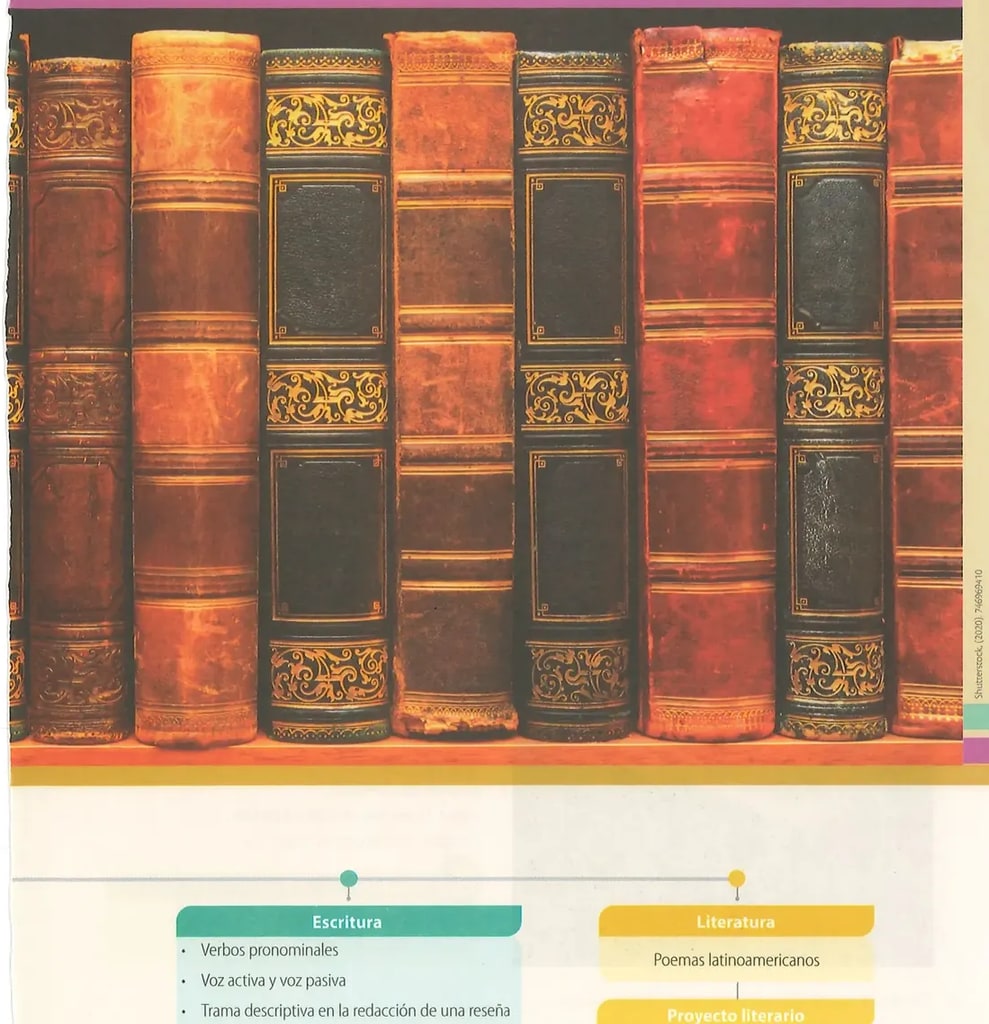 Fotografía de lomos de libros antiguos con cubiertas de cuero en tonos café-rojizo con ornamentaciones doradas. Misma imagen de la página 142. Crédito: Shutterstock (2020) 746969410.