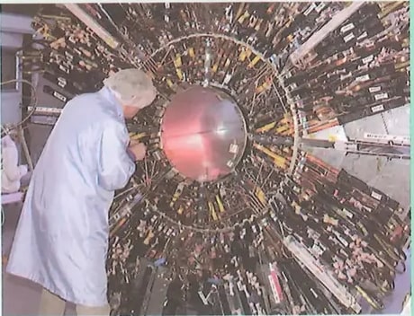 Figura 1 de Ciencias Naturales · 8 EGB · 2025