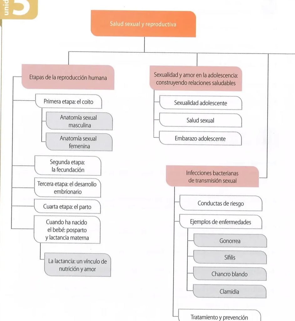Figura 1 de Ciencias Naturales · 8 EGB · 2025