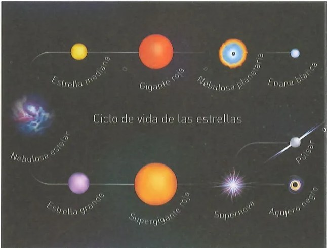 Figura 3 de Ciencias Naturales · 9 EGB · 2024