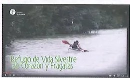 Figura 2 de Ciencias Naturales · 9 EGB · 2024