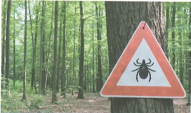 Figura 4 de Ciencias Naturales · 10 EGB · 2024