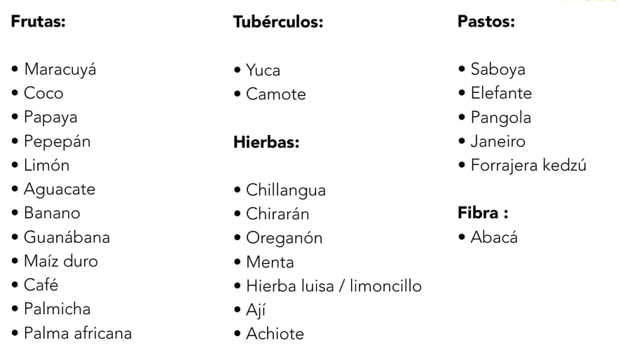 Figura 1 de Etnoeducacion · 8 EGB · 2024