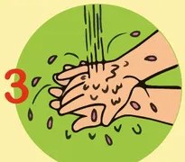 Ilustración del paso 2: manos enjabonadas frotándose con espuma, numeradas con el dígito 2.