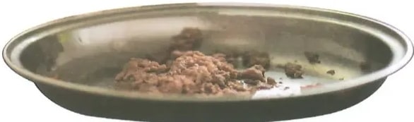 Fotografía de un plato con carne (posiblemente carne cruda o cocida en un plato de cerámica). Ilustra el ejemplo de voz pasiva 'La carne es comida por el gato'. Crédito: Shutterstock (2020) 1180009792.