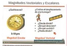 Figura 5 de Ciencias Naturales · 8 EGB · 2025