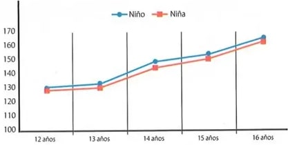 Figura 5 de Matematica · 8 EGB · 2025