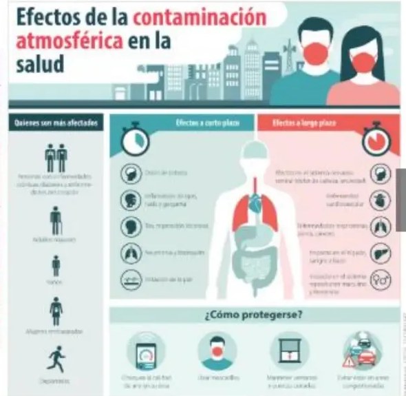 Figura 4 de Ciencias Naturales · 5 EGB · 2024
