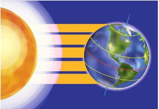 Figura 2 de Ciencias Naturales · 6 EGB · 2025