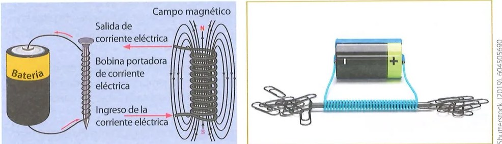 Figura 4 de Ciencias Naturales · 7 EGB · 2024