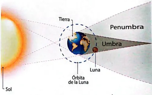 Figura 7 de Ciencias Naturales · 4 EGB · 2025