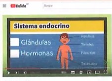 Figura 4 de Ciencias Naturales · 7 EGB · 2024