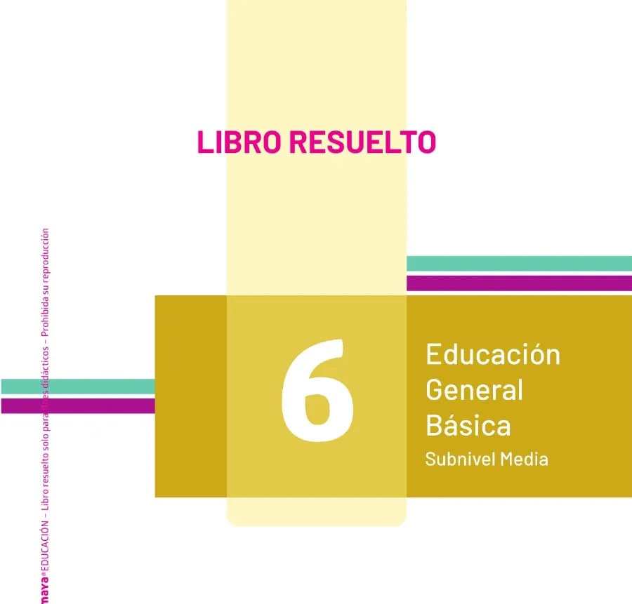Figura 1 de Estudios Sociales · 6 EGB · 2025