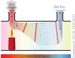 Figura 2 de Ciencias Naturales · 6 EGB · 2025