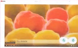 Figura 2 de Ciencias Naturales · 9 EGB · 2024