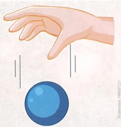 Figura 2 de Ciencias Naturales · 9 EGB · 2024