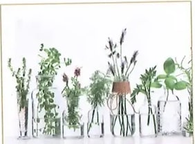 Figura 2 de Ciencias Naturales · 10 EGB · 2024