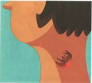 Figura 4 de Lengua Y Literatura · 2 EGB · 2025
