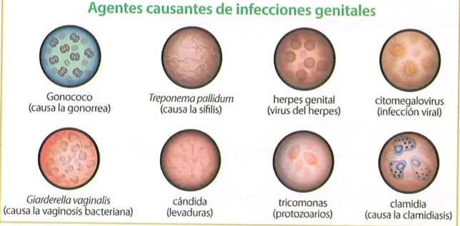 Figura 2 de Ciencias Naturales · 8 EGB · 2025