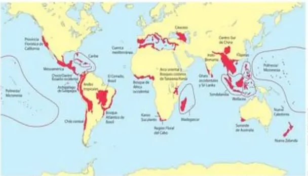 Mapamundi destacando en rojo los 17 países megadiversos.
