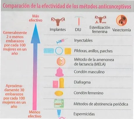 Figura 3 de Ciencias Naturales · 8 EGB · 2025
