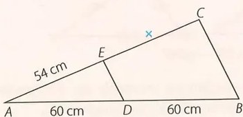 Figura 5 de Matematica · 10 EGB · 2025